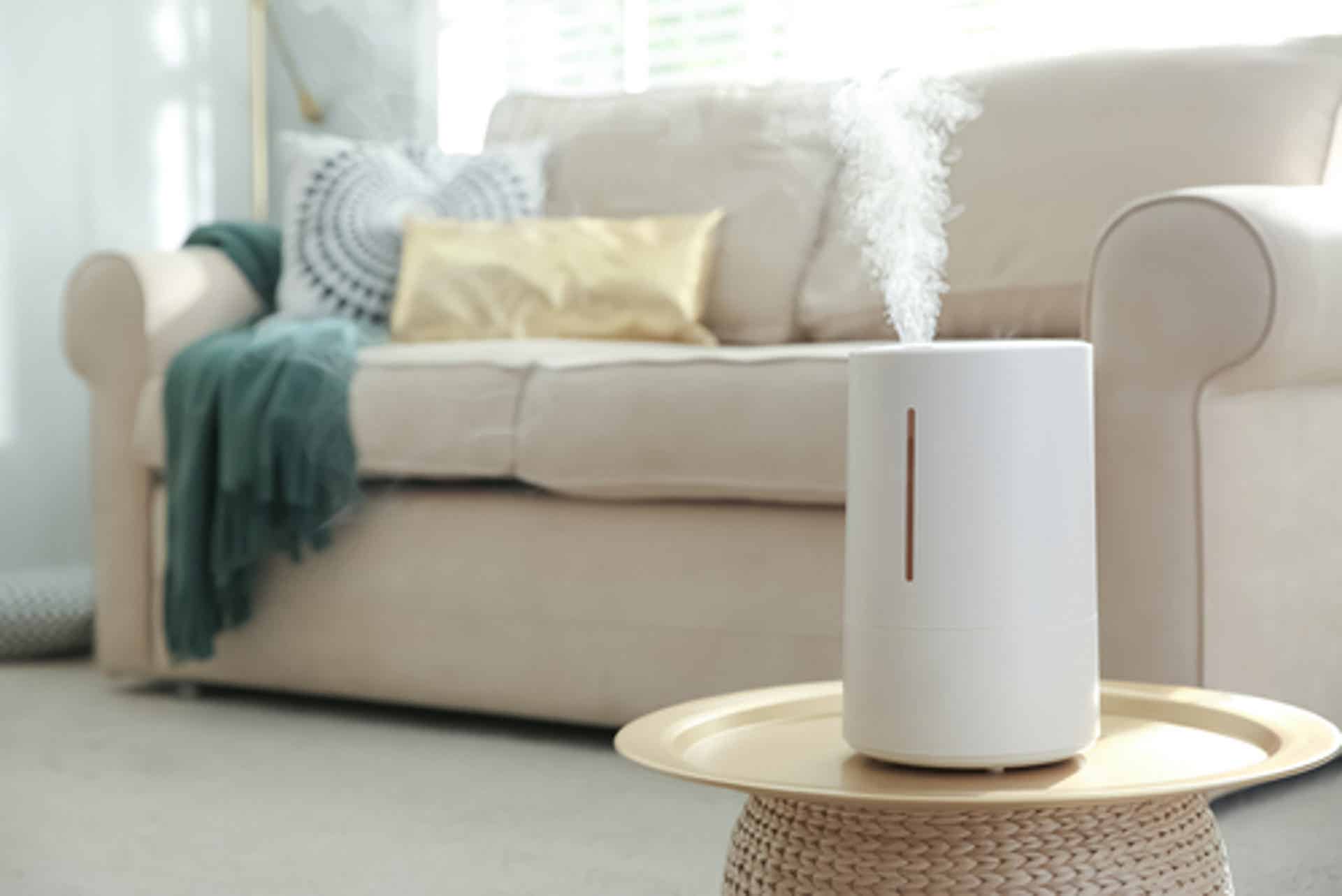Humidifier Health: Keeping Indoor Air Healthy All Winter