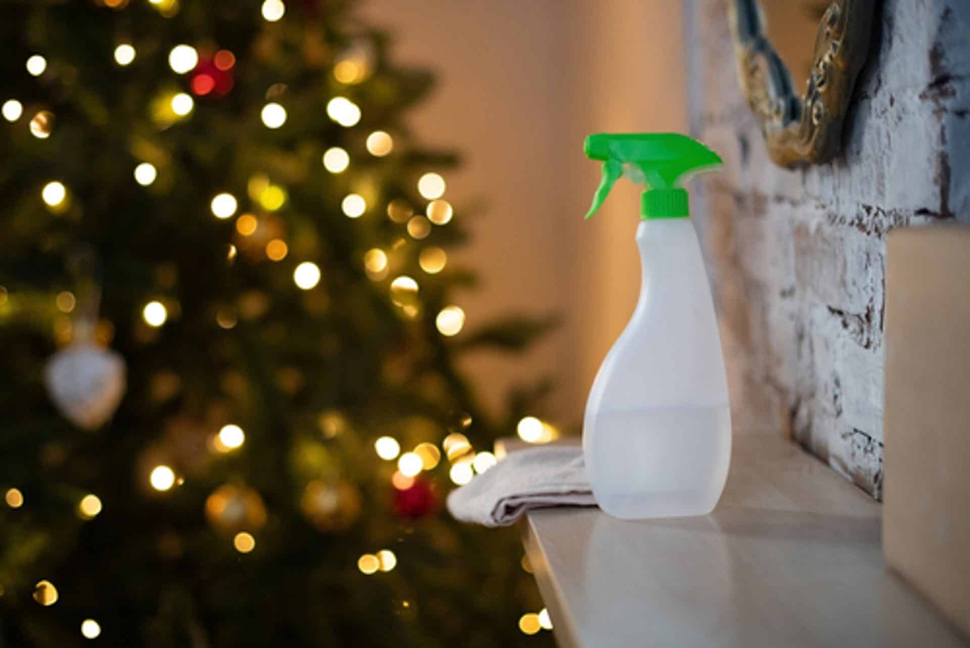 Let SERVPRO® Clean Your Home This Holiday Season