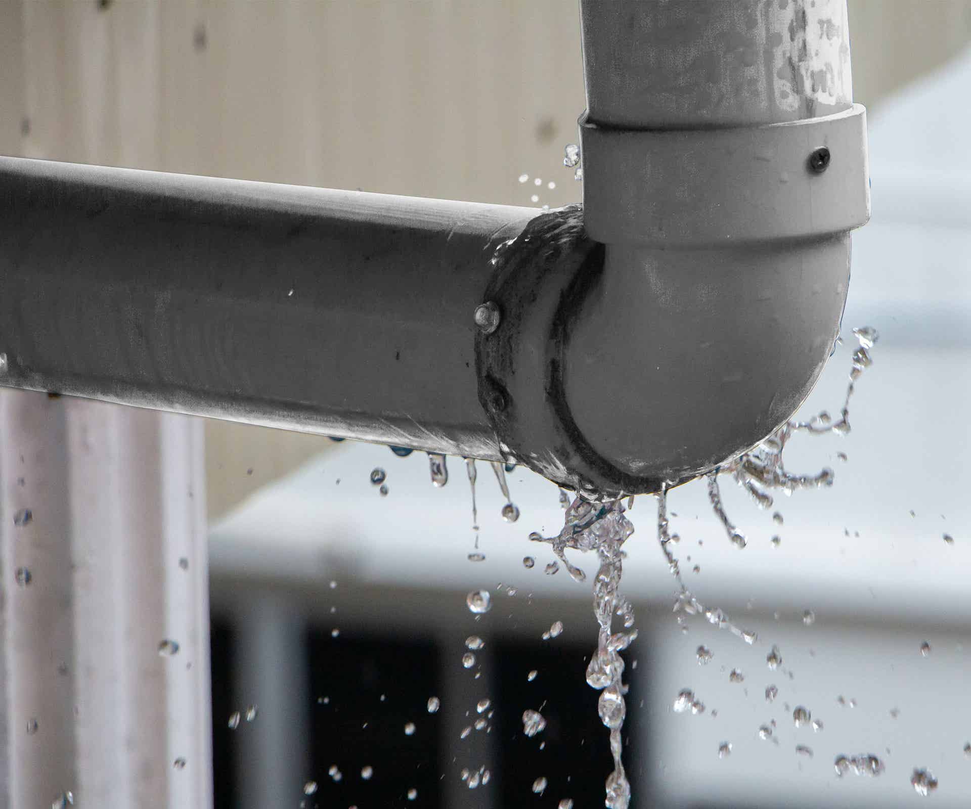 Water Removal and Extraction