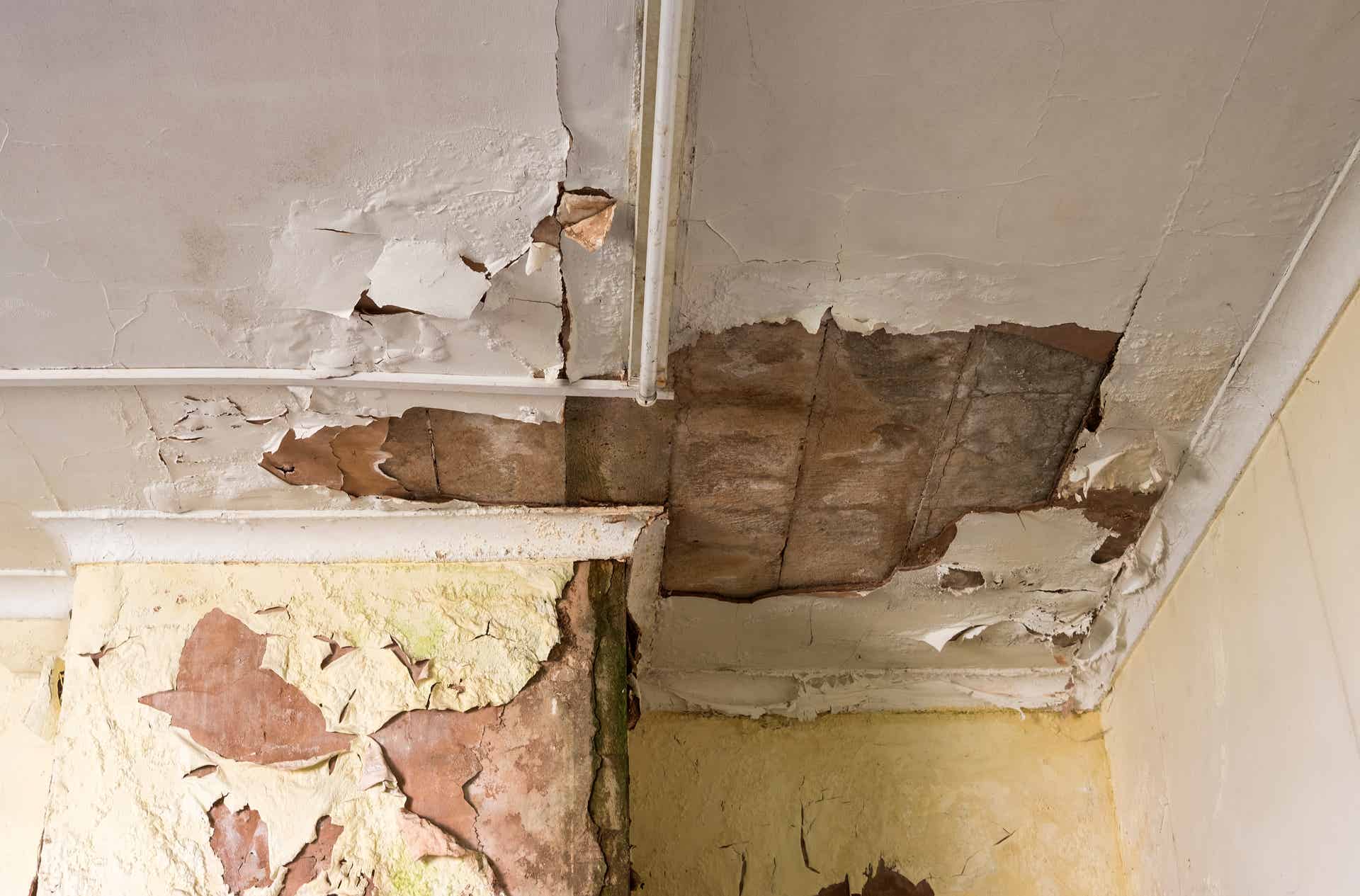How to Tell If Water Damage Is New or Old?