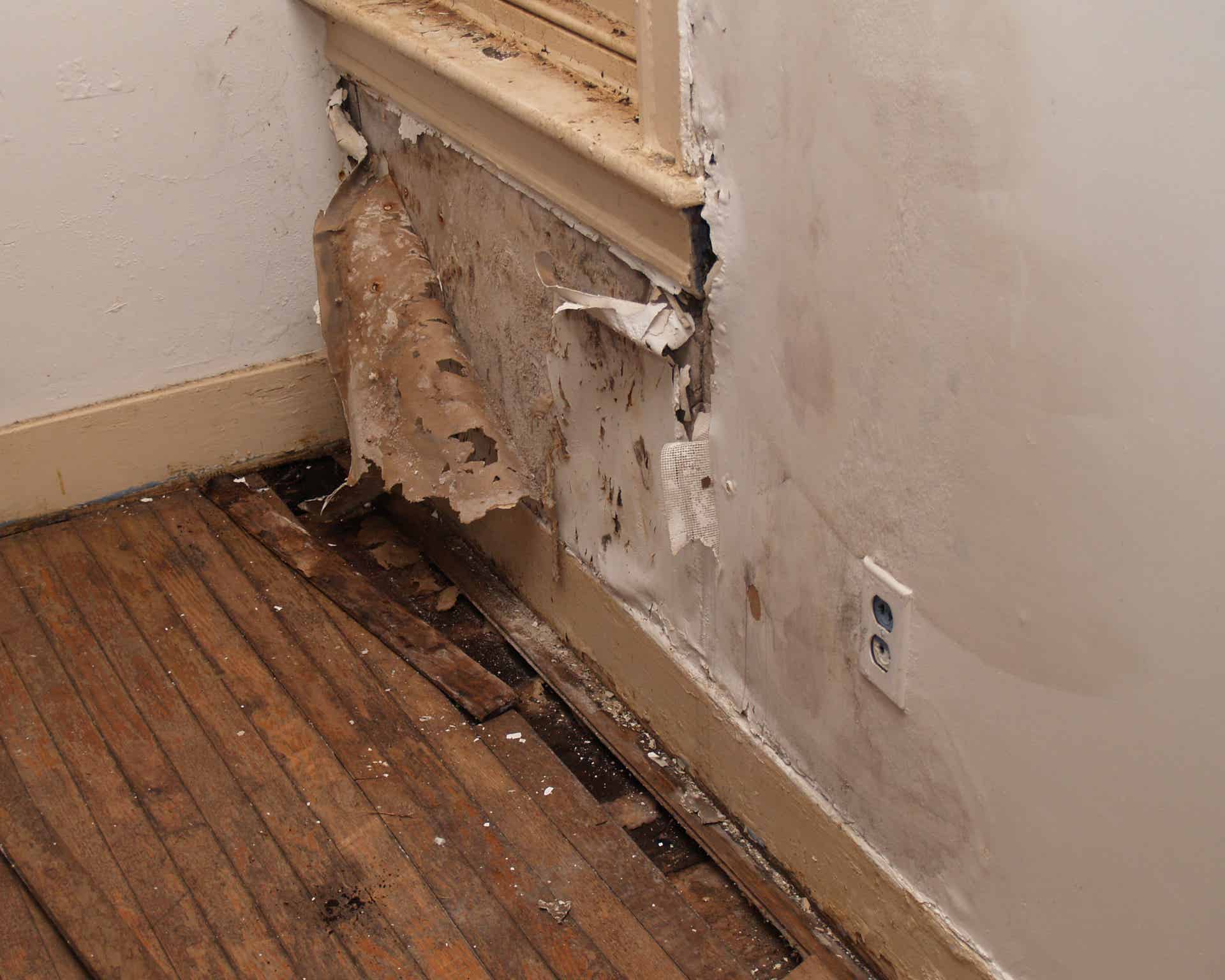 I Have Water Damage In My Wall, What Do I Do?