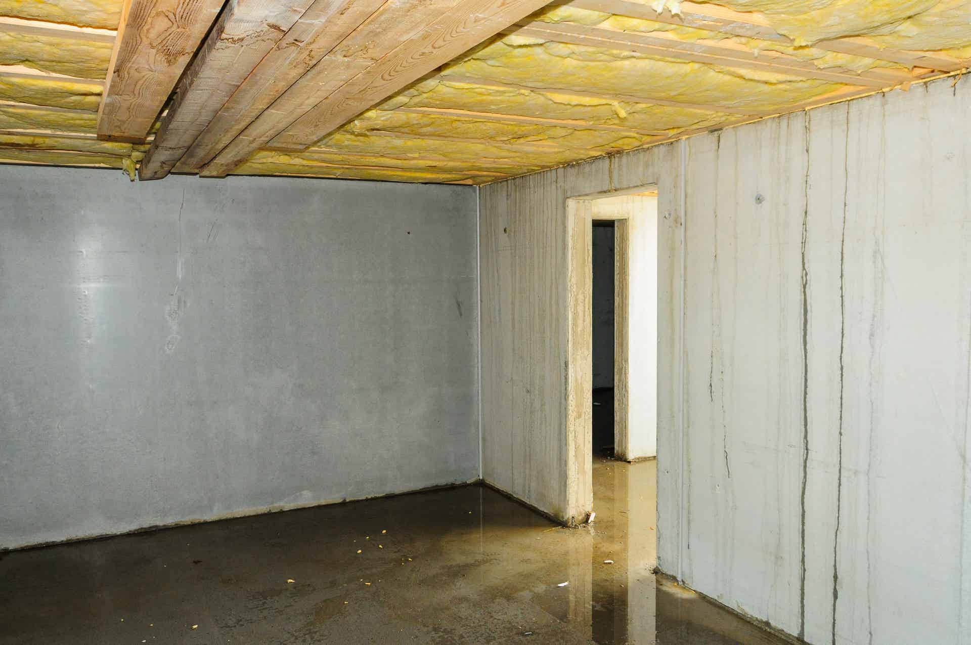 How to Get Rid of Musty Smell in Basement