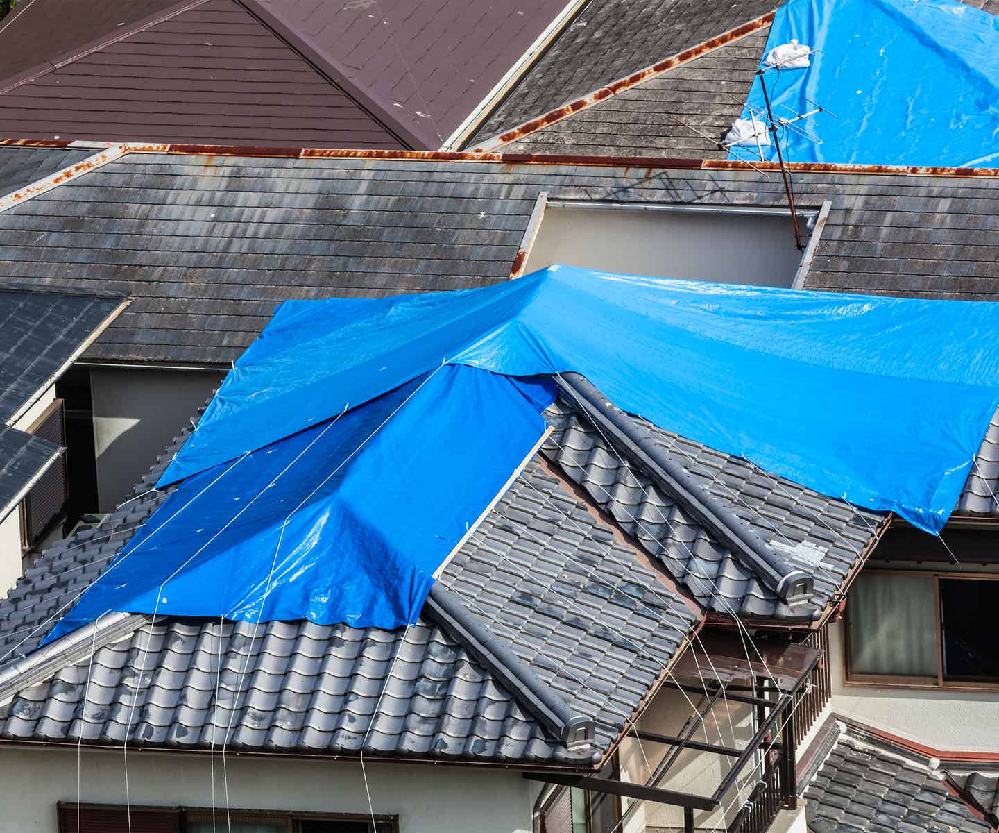 Residential_Roof_Tarp_Page_resize.jpg