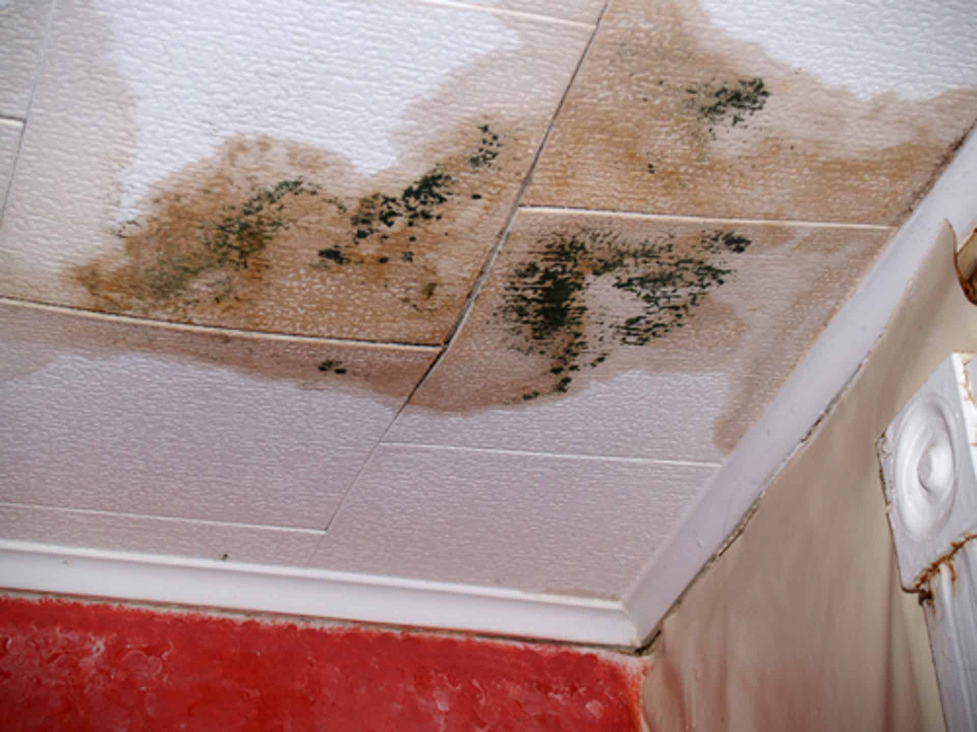 Is That a Leak in the Ceiling? Know the Signs and What to do About Ceiling Water Damage
